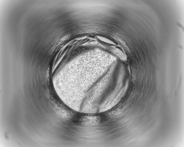 X0000093460260200711021140