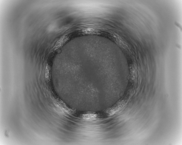 X0000093460266200711021140