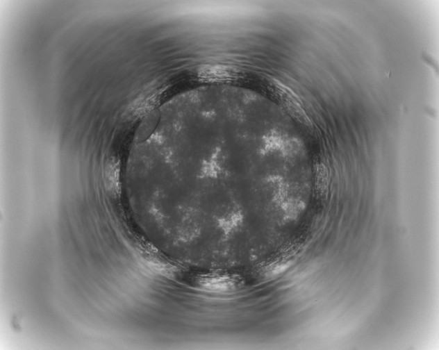 X0000093460267200711021140