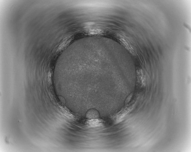 X0000093460269200711021140