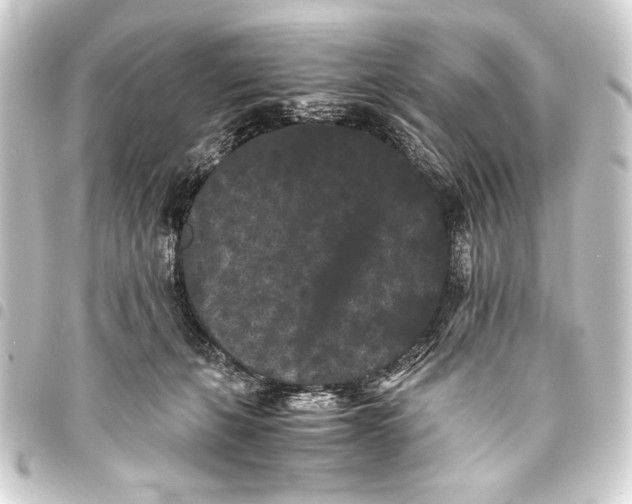 X0000093460271200711021140