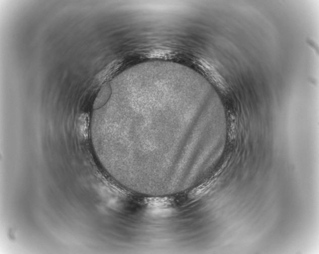 X0000093460273200711021140