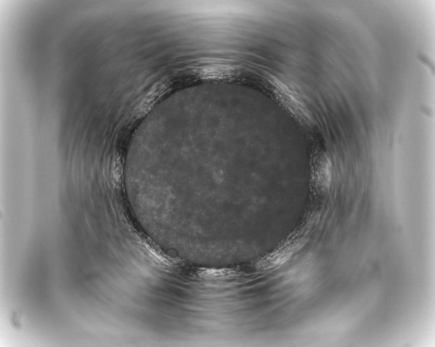 X0000093460277200711021140