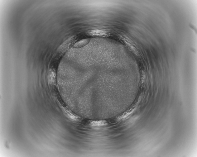 X0000093460281200711021140