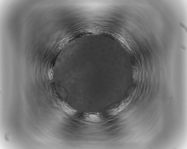 X0000093460285200711021140