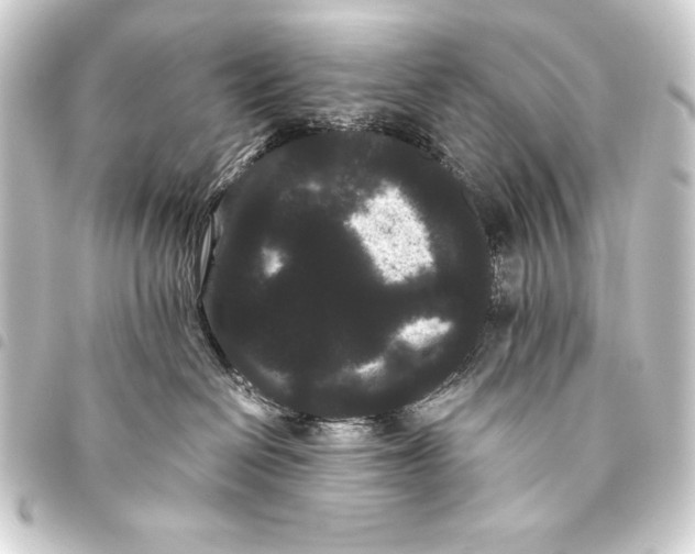 X0000093460286200711021140