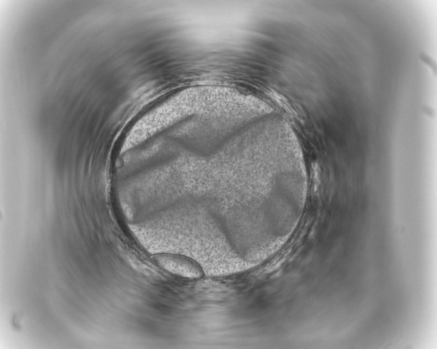 X0000093460290200711021140