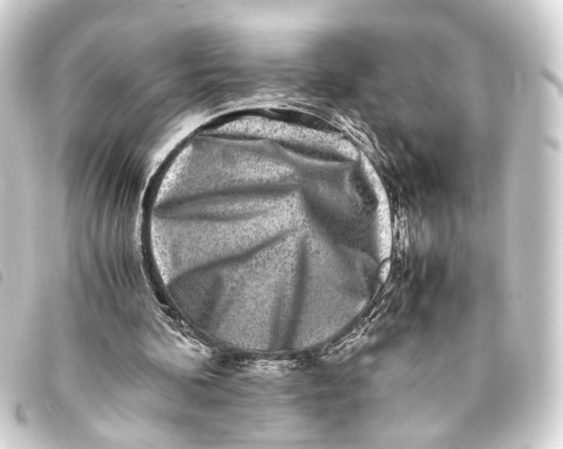 X0000093460292200711021140