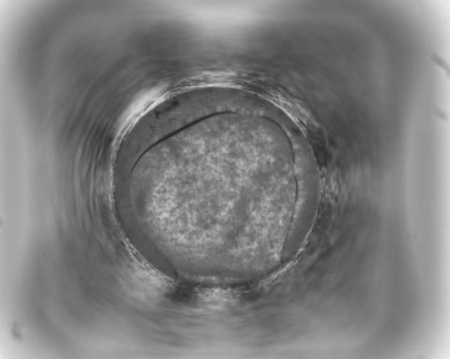 X0000093460293200711021140