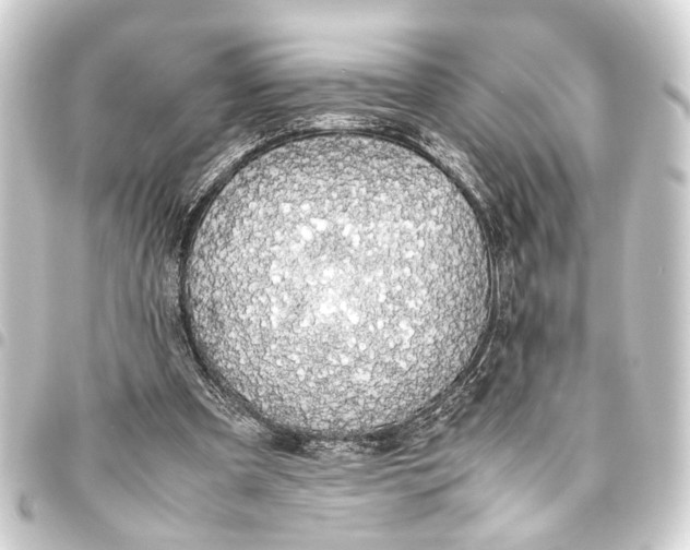 X0000093460297200711021140