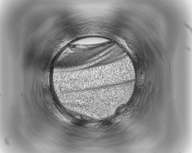 X0000093460299200711021140