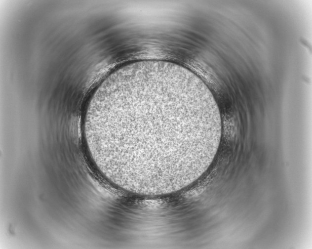 X0000093460302200711021140