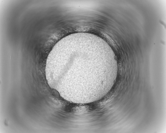 X0000093460307200711021139