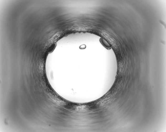 X0000093460309200711021139