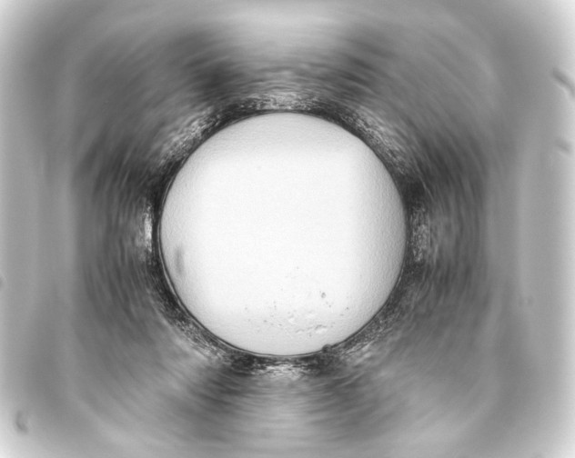 X0000093460310200711021139