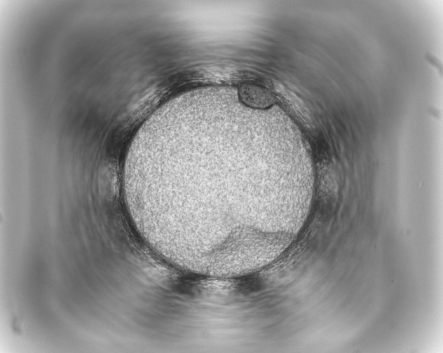 X0000093460313200711021139