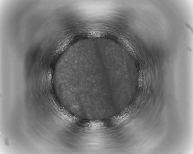 X0000093460314200711021139