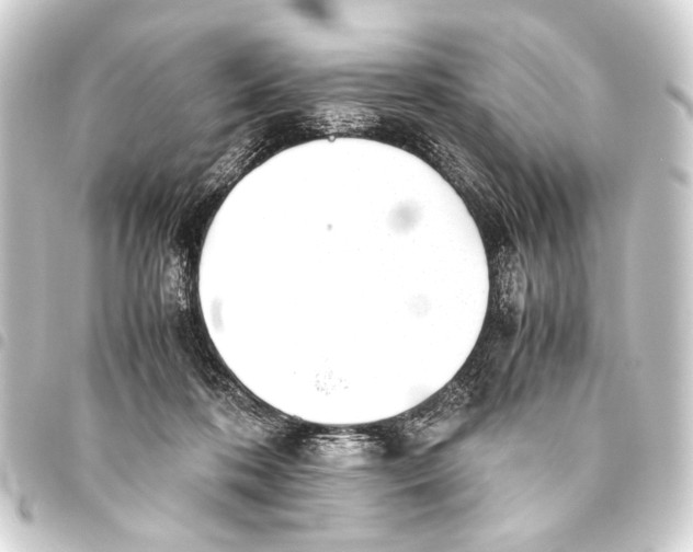 X0000093460316200711021139