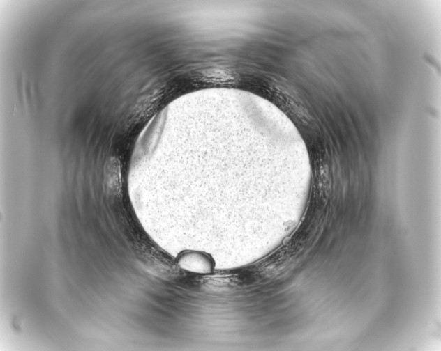 X0000093460320200711021139