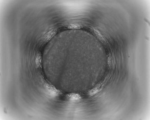 X0000093460322200711021139