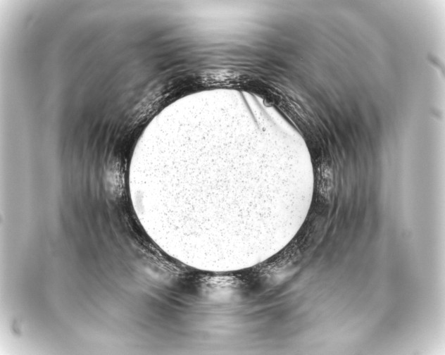 X0000093460324200711021139