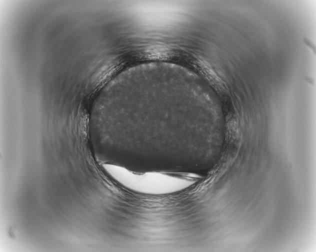 X0000093460325200711021139