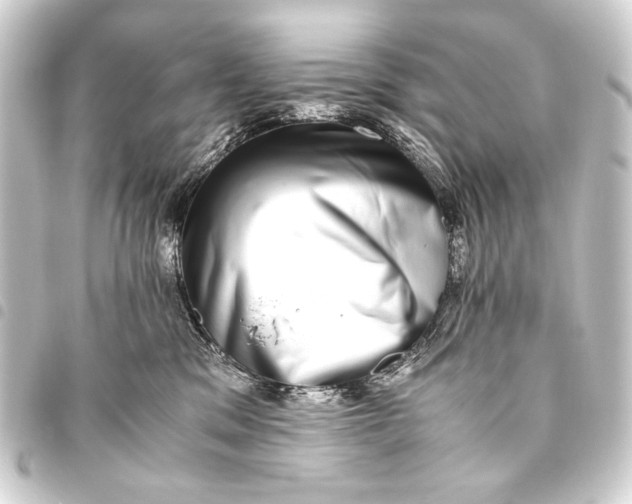 X0000093460329200711021139