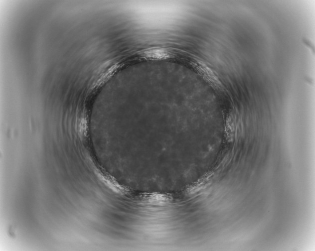 X0000093460330200711021139