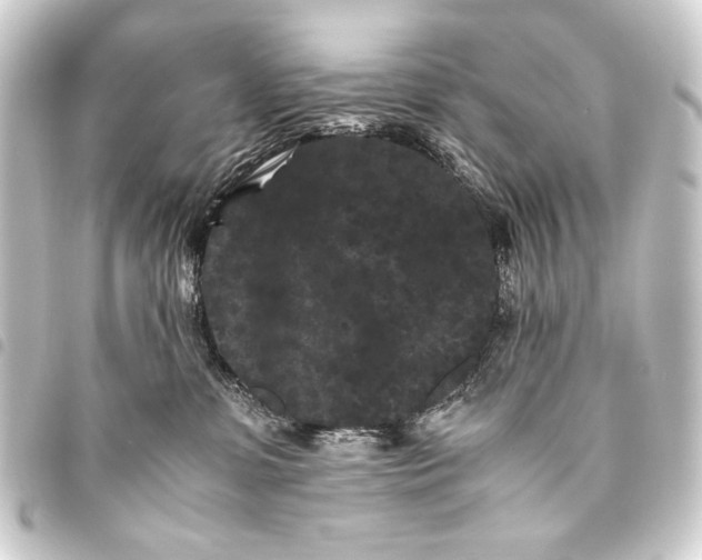 X0000093460331200711021139