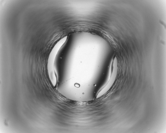 X0000093460333200711021139