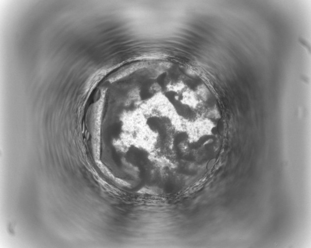 X0000093460337200711021139