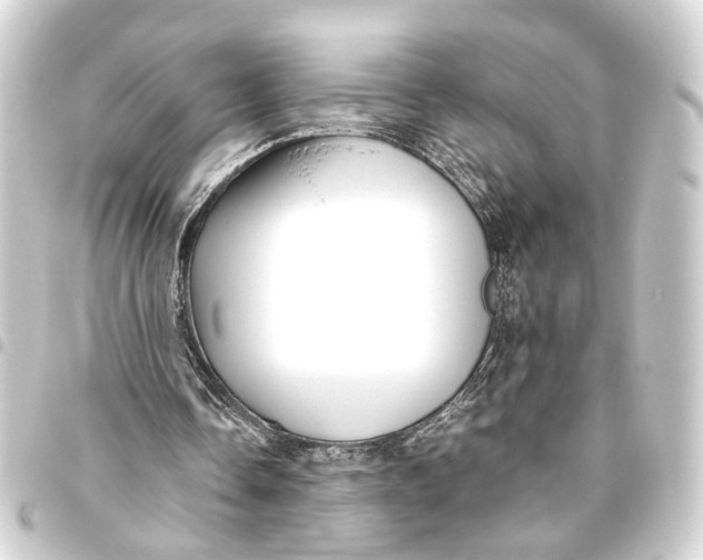 X0000093460338200711021139