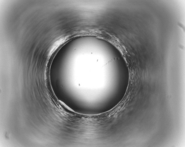 X0000093460340200711021139