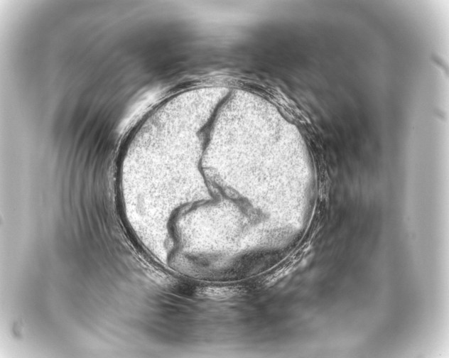 X0000093460341200711021139