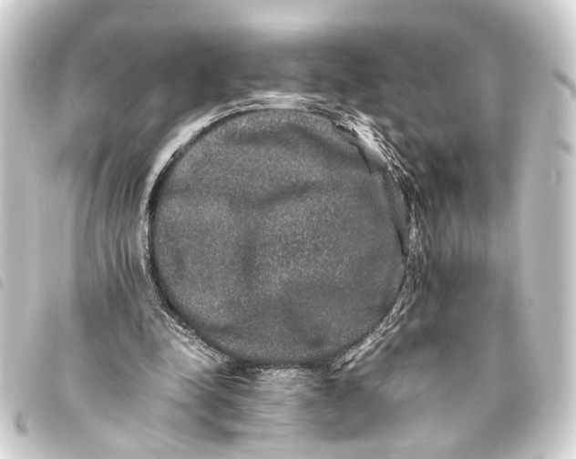 X0000093460342200711021139