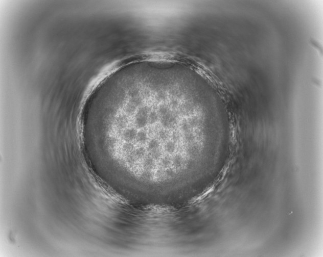 X0000093460343200711021139