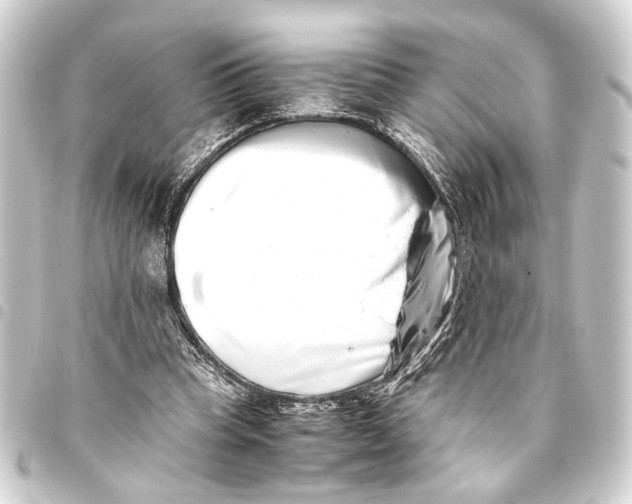 X0000093460345200711021139