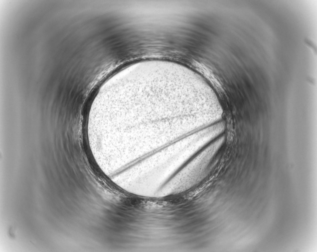 X0000093460346200711021139