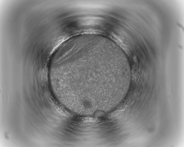 X0000093460347200711021139