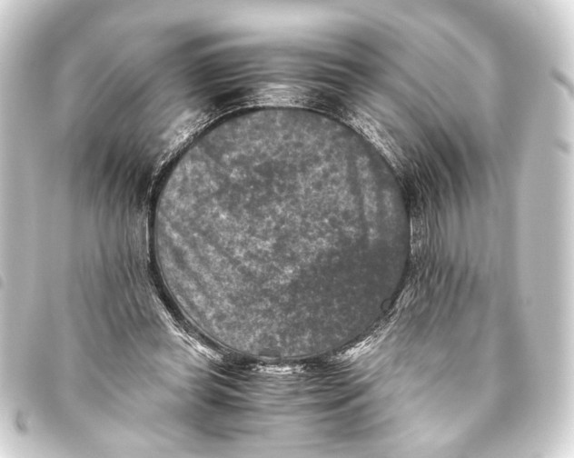 X0000093460349200711021139