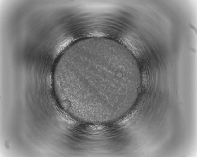 X0000093460351200711021139