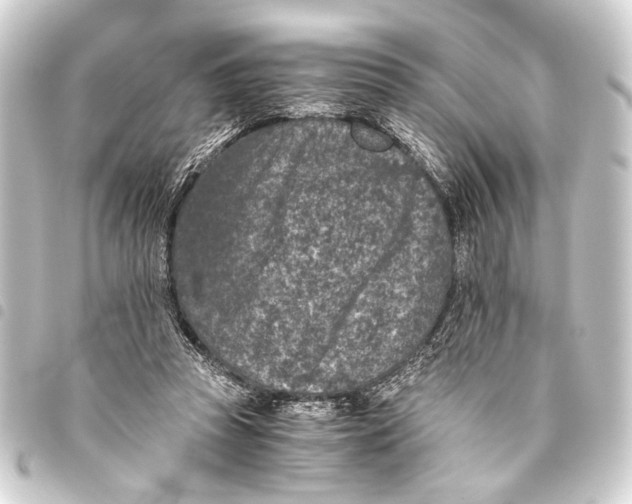 X0000093460353200711021139