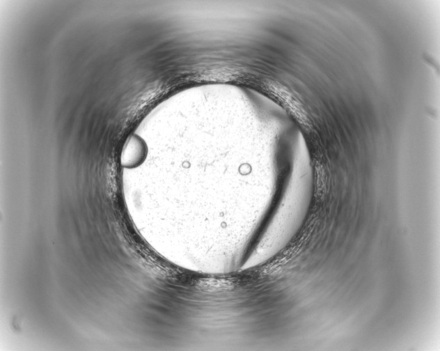 X0000093460354200711021139