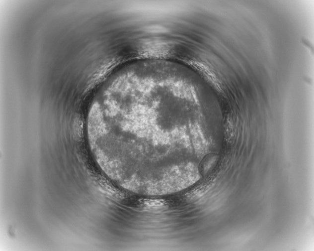 X0000093460355200711021139