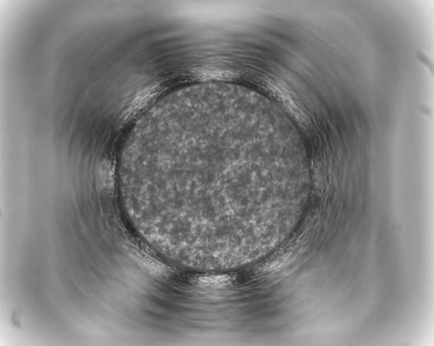 X0000093460357200711021139