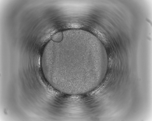 X0000093460358200711021139