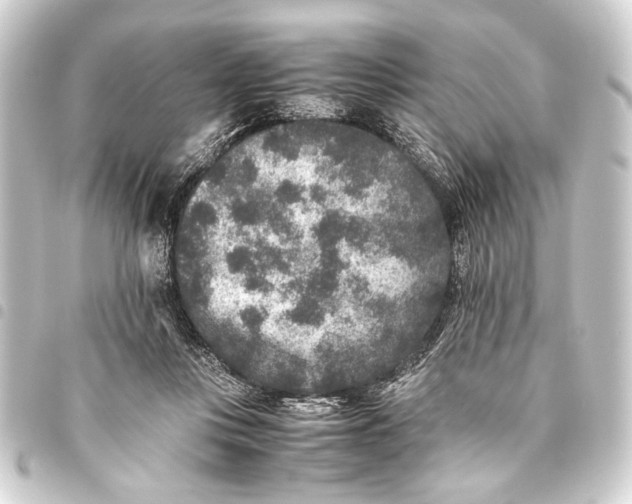 X0000093460359200711021139