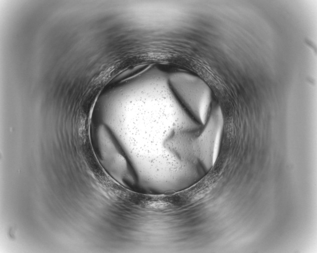 X0000093460360200711021139