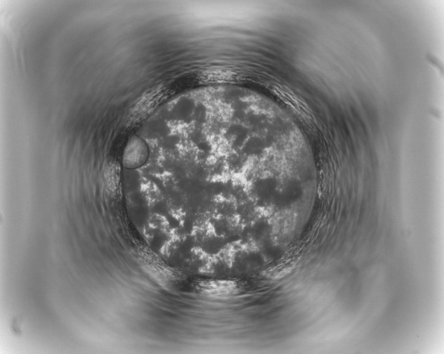 X0000093460361200711021139