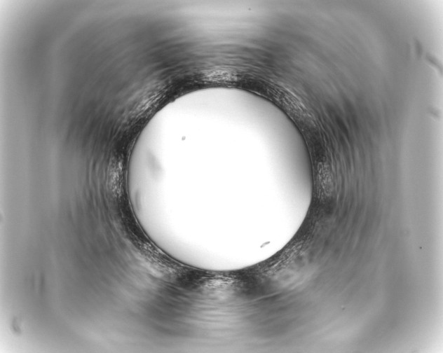 X0000093460364200711021139